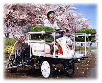 桜写真とRJシリーズ