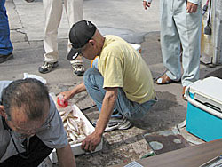 2008N LXނ_14